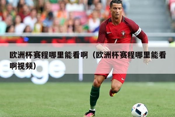 欧洲杯赛程哪里能看啊（欧洲杯赛程哪里能看啊视频）