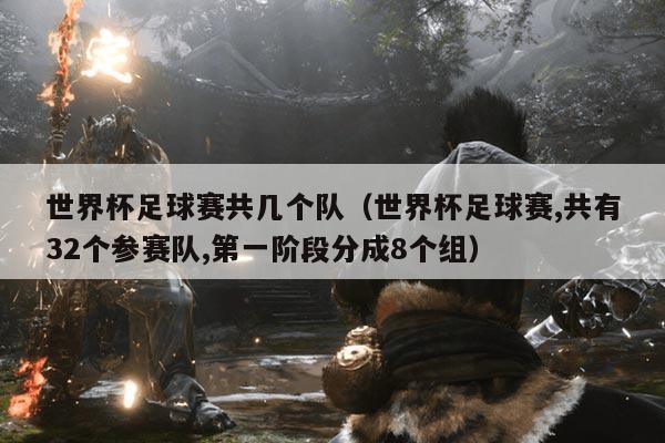 世界杯足球赛共几个队（世界杯足球赛,共有32个参赛队,第一阶段分成8个组）