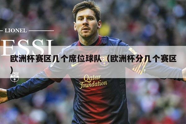 欧洲杯赛区几个席位球队（欧洲杯分几个赛区）