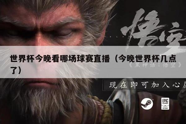 世界杯今晚看哪场球赛直播(今晚世界杯几点了)