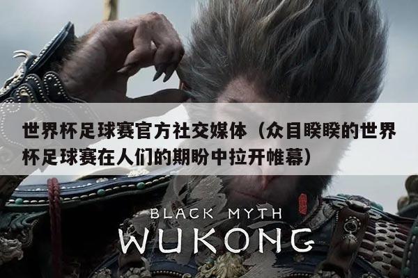 世界杯足球赛官方社交媒体（众目睽睽的世界杯足球赛在人们的期盼中拉开帷幕）