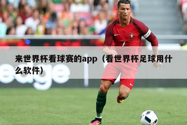 来世界杯看球赛的app(看世界杯足球用什么软件)
