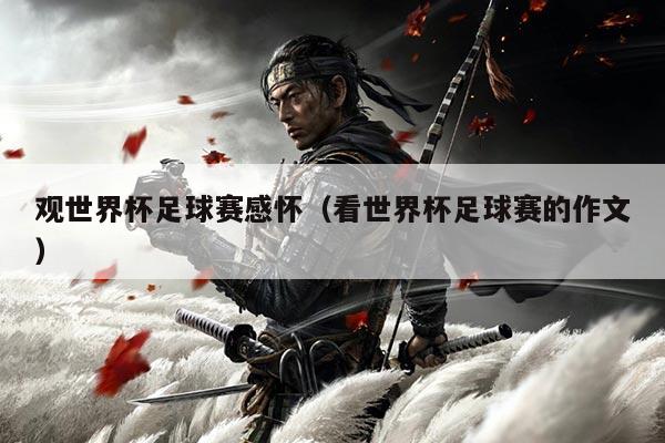 观世界杯足球赛感怀(看世界杯足球赛的作文)