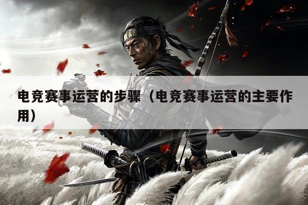 电竞赛事运营的步骤(电竞赛事运营的主要作用)