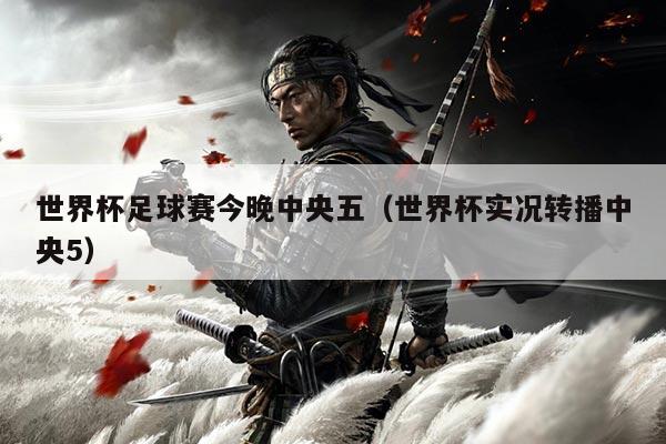 世界杯足球赛今晚中央五(世界杯实况转播中央5)