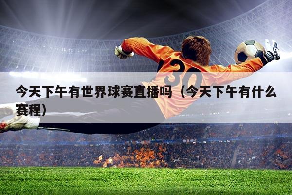 今天下午有世界球赛直播吗(今天下午有什么赛程)