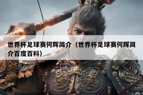 世界杯足球赛何辉简介(世界杯足球赛何辉简介百度百科)