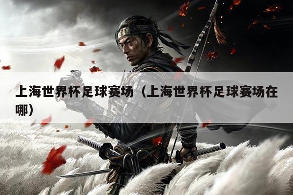 上海世界杯足球赛场(上海世界杯足球赛场在哪)