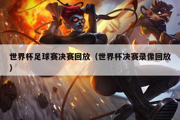 世界杯足球赛决赛回放(世界杯决赛录像回放)