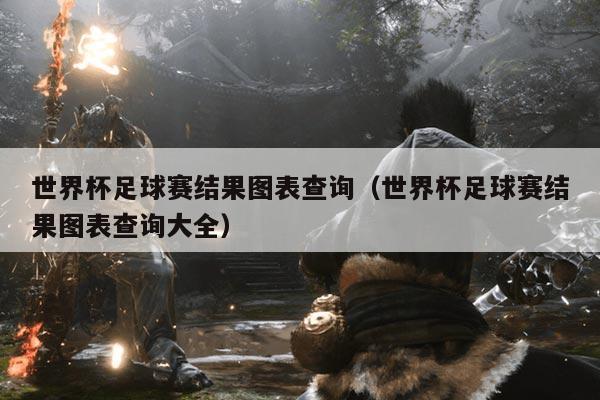 世界杯足球赛结果图表查询(世界杯足球赛结果图表查询大全)