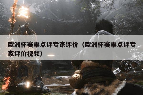 欧洲杯赛事点评专家评价(欧洲杯赛事点评专家评价视频)