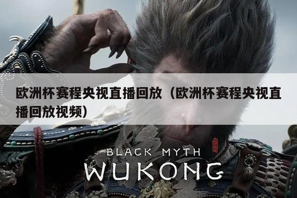 欧洲杯赛程央视直播回放(欧洲杯赛程央视直播回放视频)