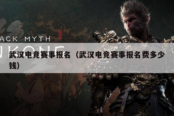 武汉电竞赛事报名(武汉电竞赛事报名费多少钱)