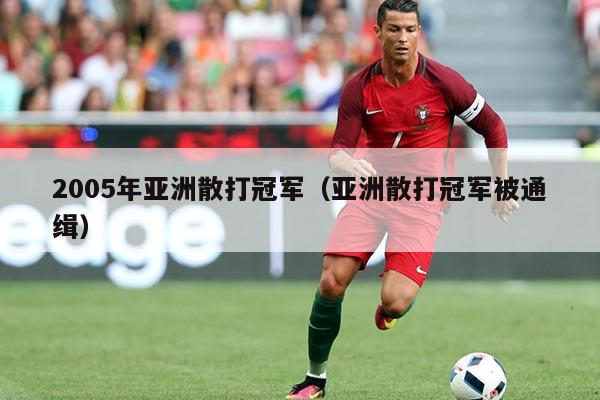 2005年亚洲散打冠军(亚洲散打冠军被通缉)