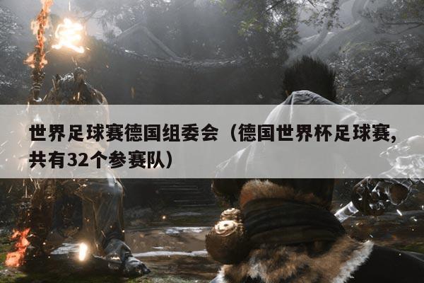 世界足球赛德国组委会（德国世界杯足球赛,共有32个参赛队）