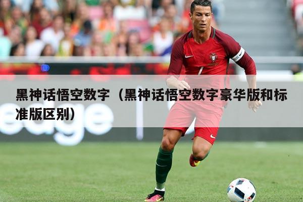 黑神话悟空数字(黑神话悟空数字豪华版和标准版区别)