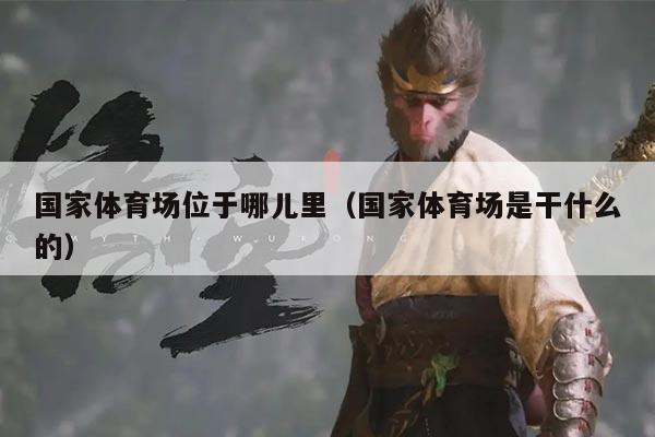 国家体育场位于哪儿里(国家体育场是干什么的)