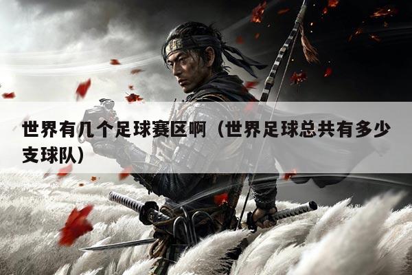 世界有几个足球赛区啊(世界足球总共有多少支球队)