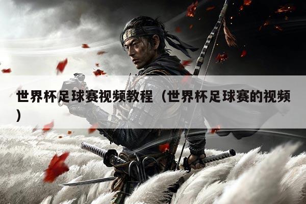 世界杯足球赛视频教程（世界杯足球赛的视频）