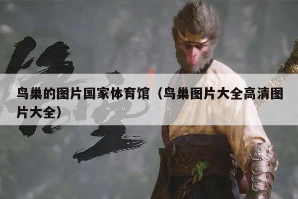 鸟巢的图片国家体育馆(鸟巢图片大全高清图片大全)