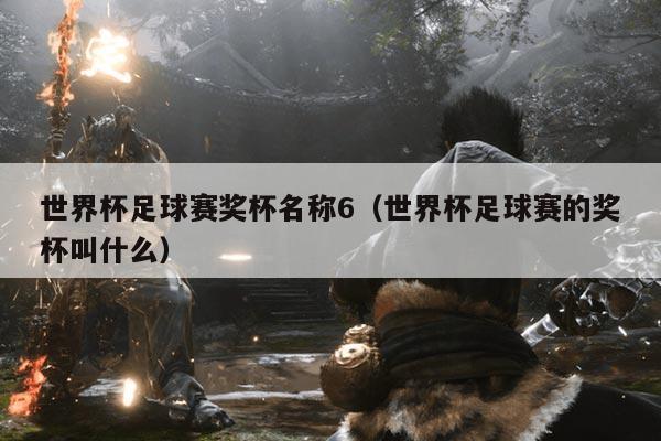 世界杯足球赛奖杯名称6（世界杯足球赛的奖杯叫什么）