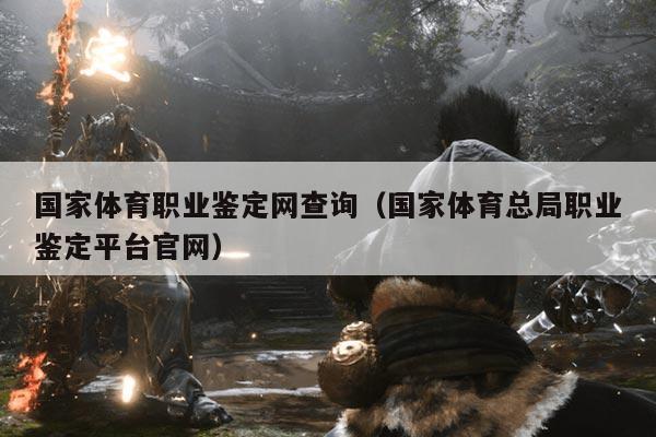 国家体育职业鉴定网查询(国家体育总局职业鉴定平台官网)