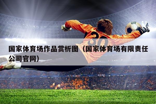 国家体育场作品赏析图(国家体育场有限责任公司官网)