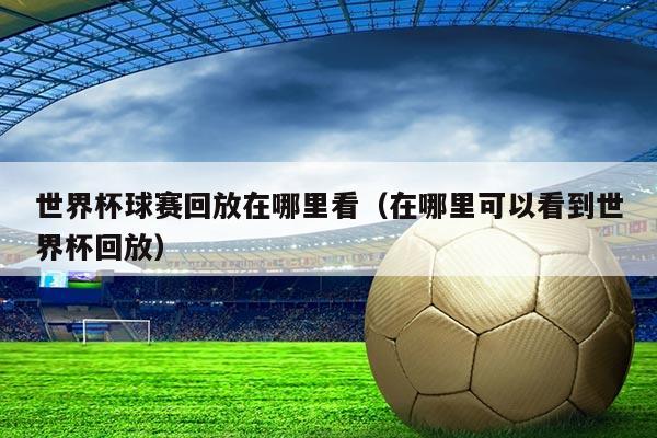 世界杯球赛回放在哪里看(在哪里可以看到世界杯回放)