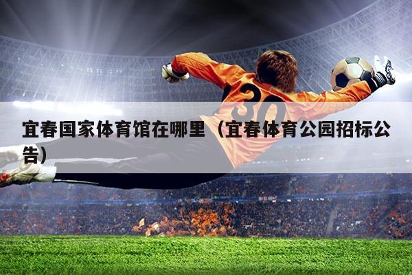 宜春国家体育馆在哪里（宜春体育公园招标公告）