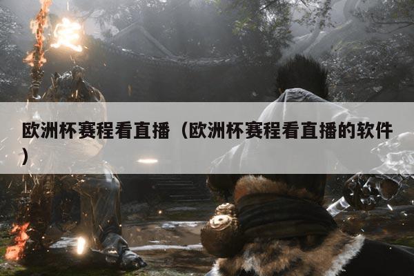 欧洲杯赛程看直播(欧洲杯赛程看直播的软件)