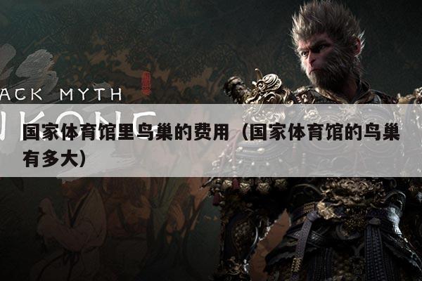 国家体育馆里鸟巢的费用(国家体育馆的鸟巢有多大)