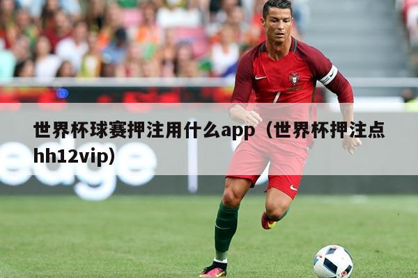 世界杯球赛押注用什么app(世界杯押注点hh12vip)