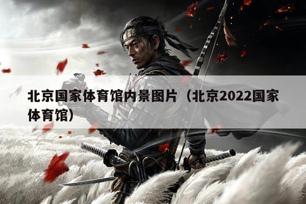 北京国家体育馆内景图片(北京2022国家体育馆)
