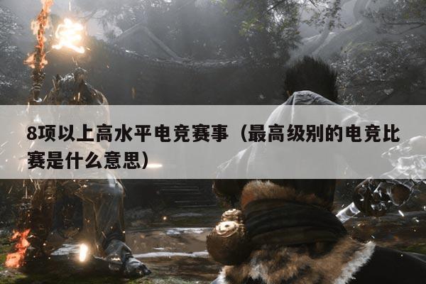 8项以上高水平电竞赛事（最高级别的电竞比赛是什么意思）
