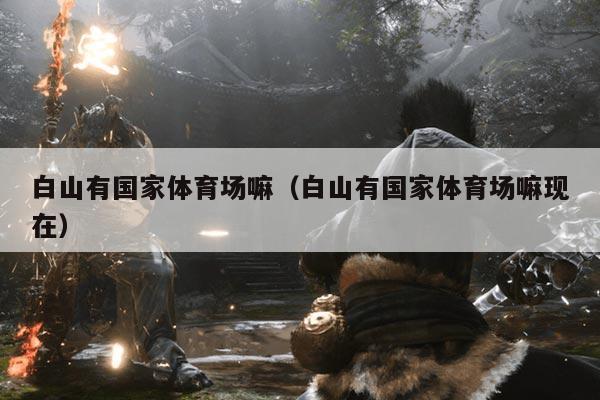 白山有国家体育场嘛（白山有国家体育场嘛现在）