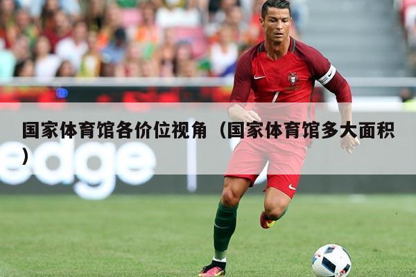 国家体育馆各价位视角(国家体育馆多大面积)