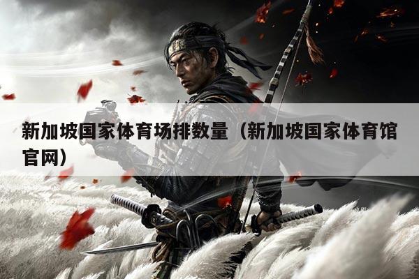 新加坡国家体育场排数量（新加坡国家体育馆官网）