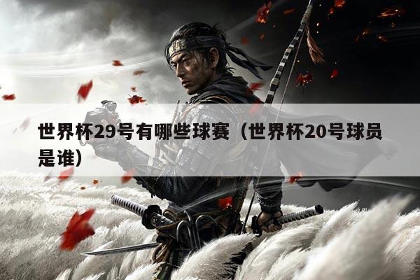 世界杯29号有哪些球赛（世界杯20号球员是谁）