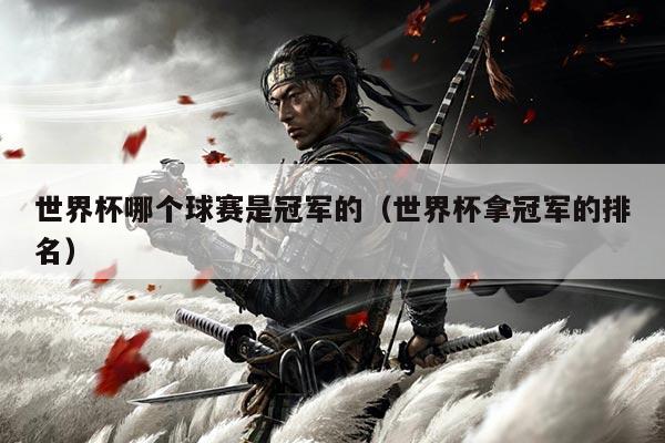 世界杯哪个球赛是冠军的(世界杯拿冠军的排名)