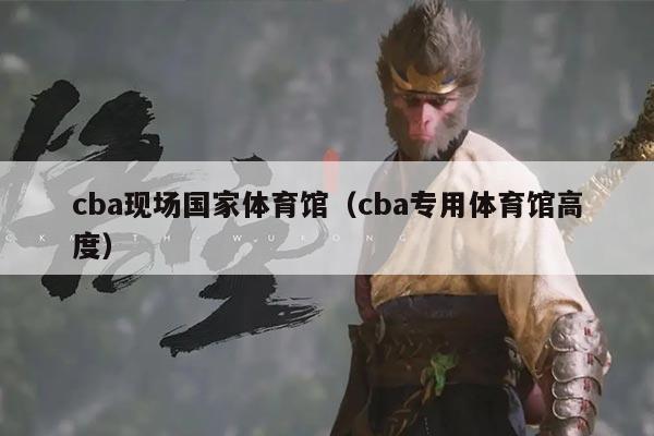 cba现场国家体育馆（cba专用体育馆高度）