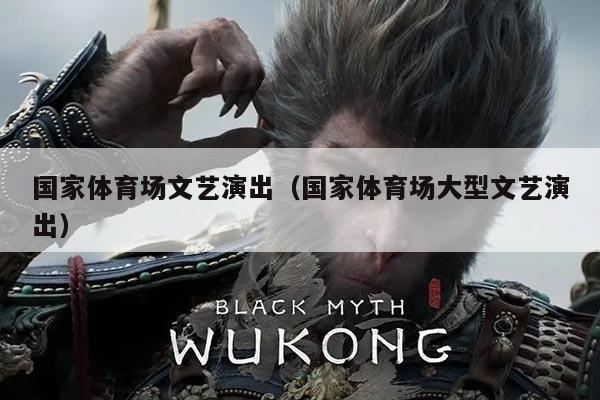 国家体育场文艺演出（国家体育场大型文艺演出）