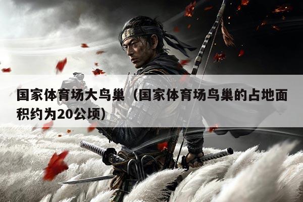 国家体育场大鸟巢（国家体育场鸟巢的占地面积约为20公顷）