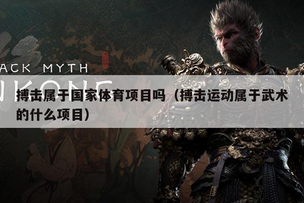 搏击属于国家体育项目吗（搏击运动属于武术的什么项目）