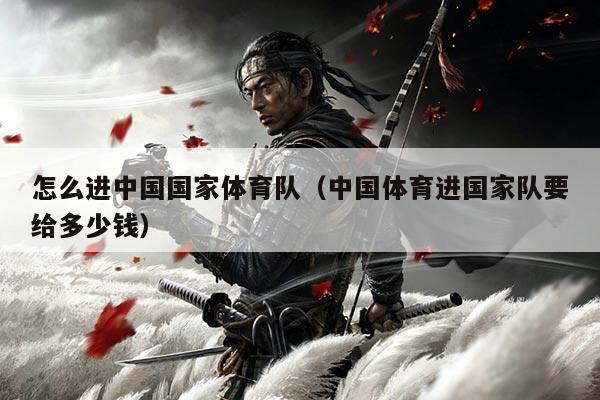 怎么进中国国家体育队（中国体育进国家队要给多少钱）
